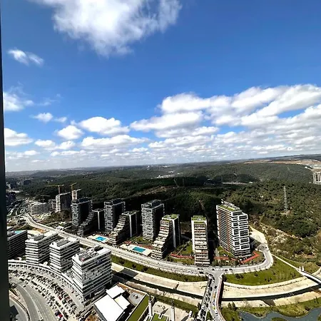 Skyland + 42