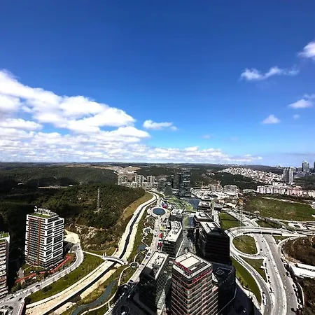 Skyland + 42